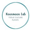 koonmoon_lab