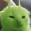 rrumup