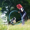 dogtrainingutrecht