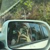 sanastar42
