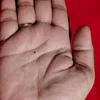 osang_78