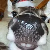 ceoofhappiness_