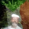 dy6ybcsvp6us