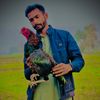 malikahmadjanjua5