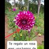 mendezjimenez6