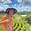 nathan.1.6.0