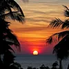 danny_2250