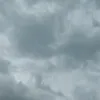 joa_ferreyra