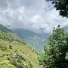 zaradilz