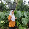 jomairahsimbuanganmangu0