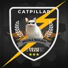 beluga290