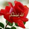 user89504321