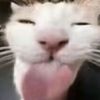 cheek0pek