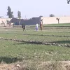 dawar3110