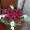 sajidmaqbool13