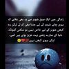 mishekhan476