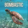 tubers_bombastic