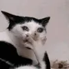 lhoobi7