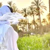 huara86