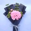 mycraftcollection