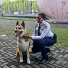 MYCHENG DOMZ