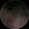 zaidcamau456