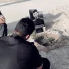 al_seed4