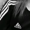 sdasix
