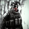 animus_zaps