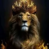il_king.0