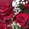 nesrine.511