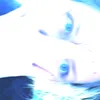 user761518831