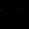 nf_htt