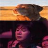 ch4micalch4y