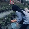 _desyindah