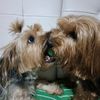 Jack y Mia
