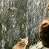 paoowithmemories