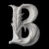 bibek_offical1