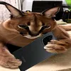 iqoo_z9.5g