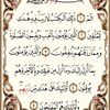 bnt_elakaber