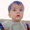 user448135413