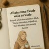 user22923383usuazina01