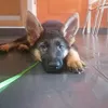 alex_7_0008