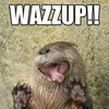 nessyishappy