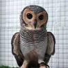 falconryhunter