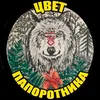 Цвет Папоротника