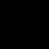 vieira_xx2