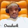 oneshark001