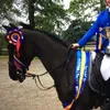 pheebs138