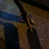 eddiebargholz852